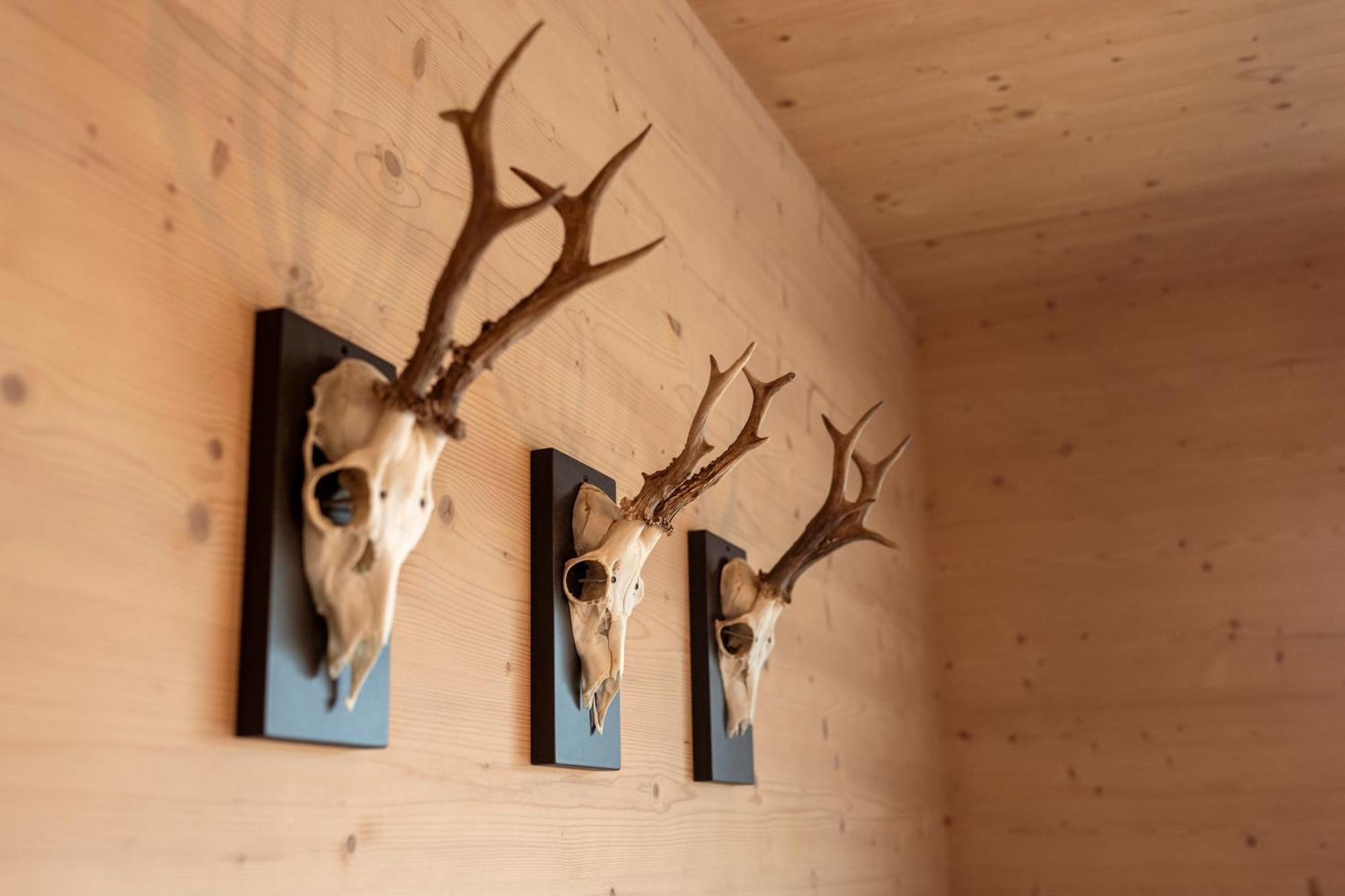 Holzlodge Deluxe Radstadt Buitenkant foto